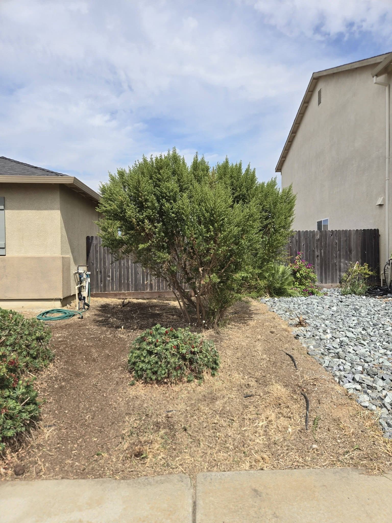 Bark & Dirt Removal