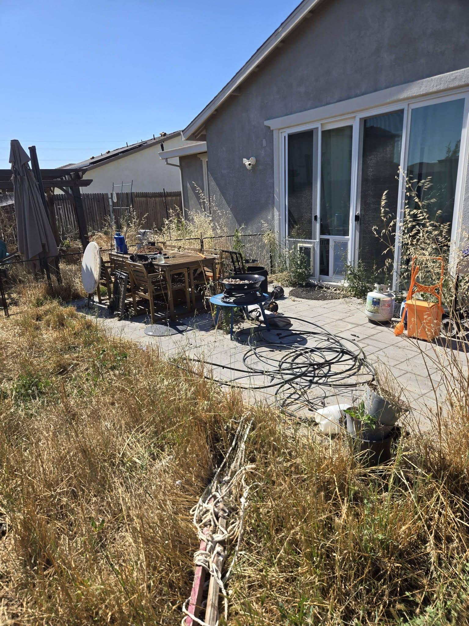 Overgrown back patio, before clean-up