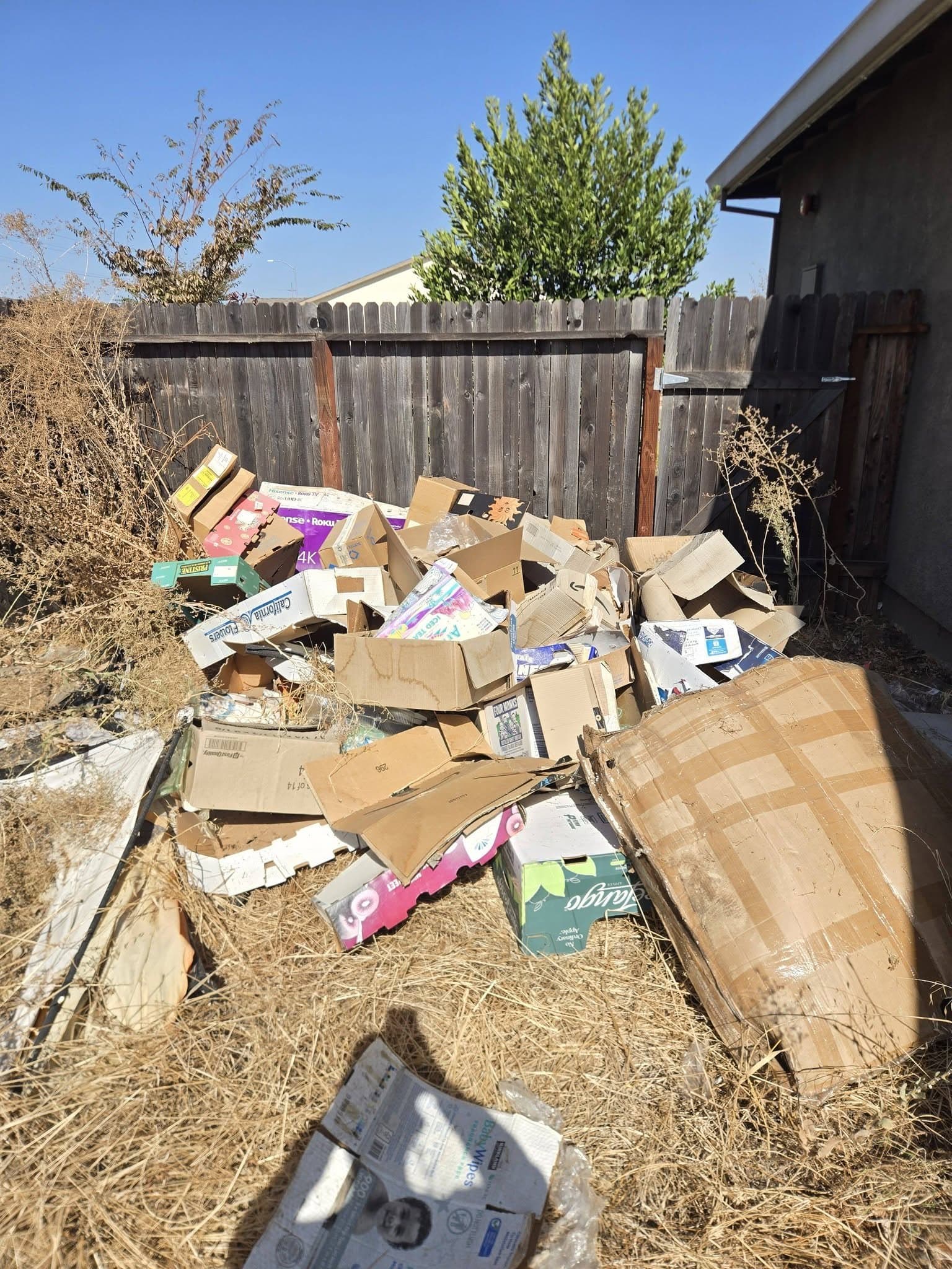 Side yard clean-out: before
