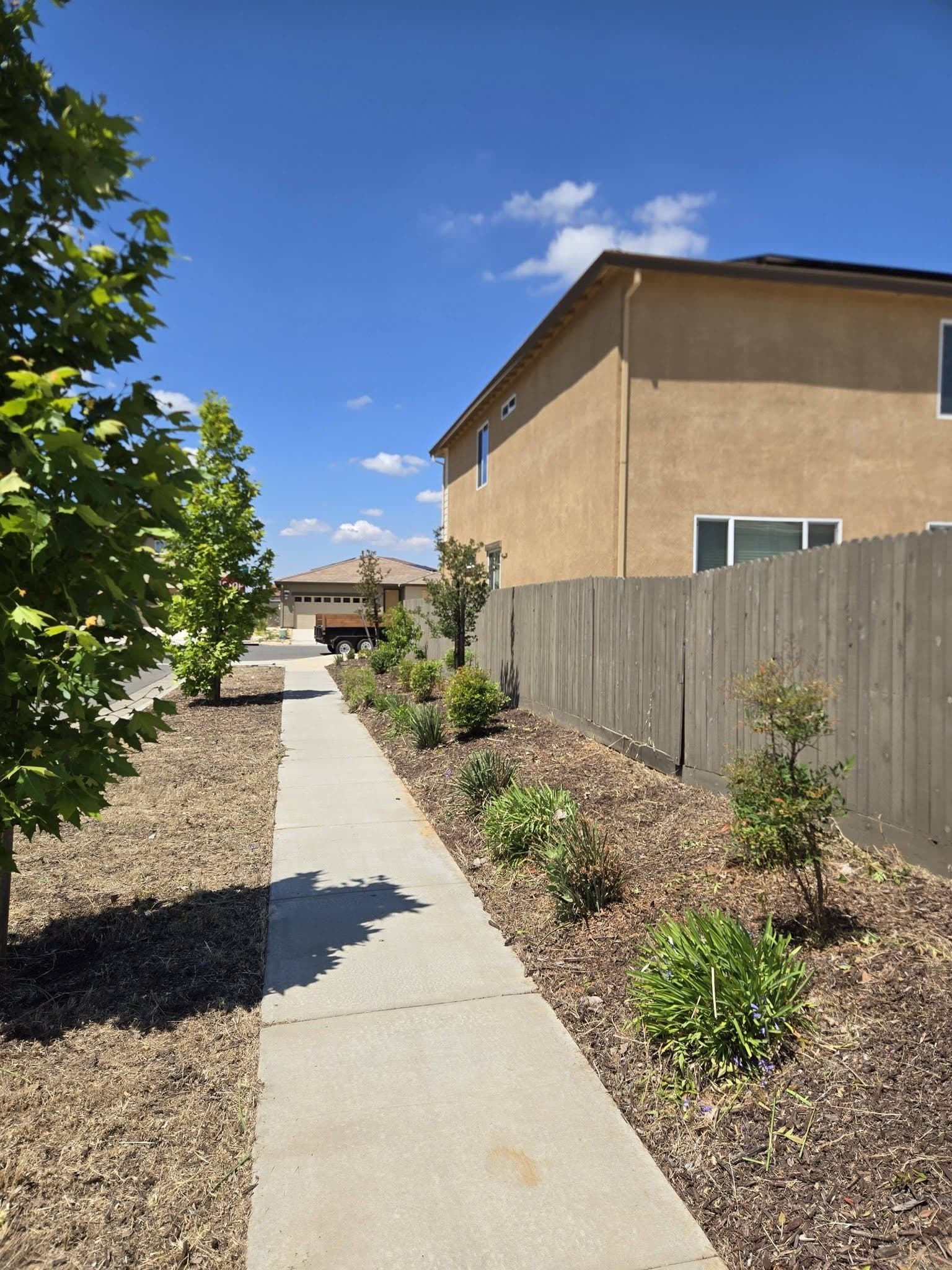 Yard Clean-Ups